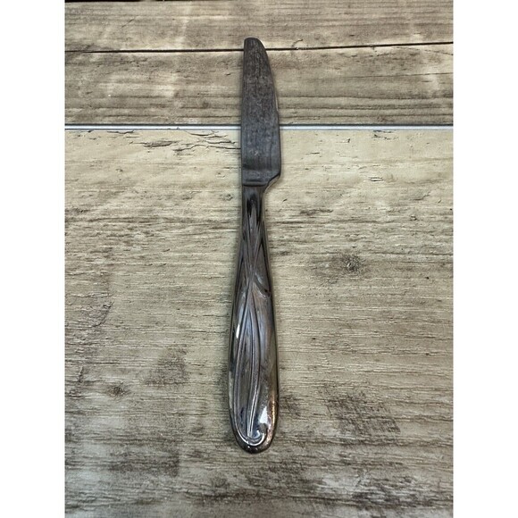 Mikasa Cocoa Blossom Stainless Dinner Knife with surface scratching - Picture 2 of 3